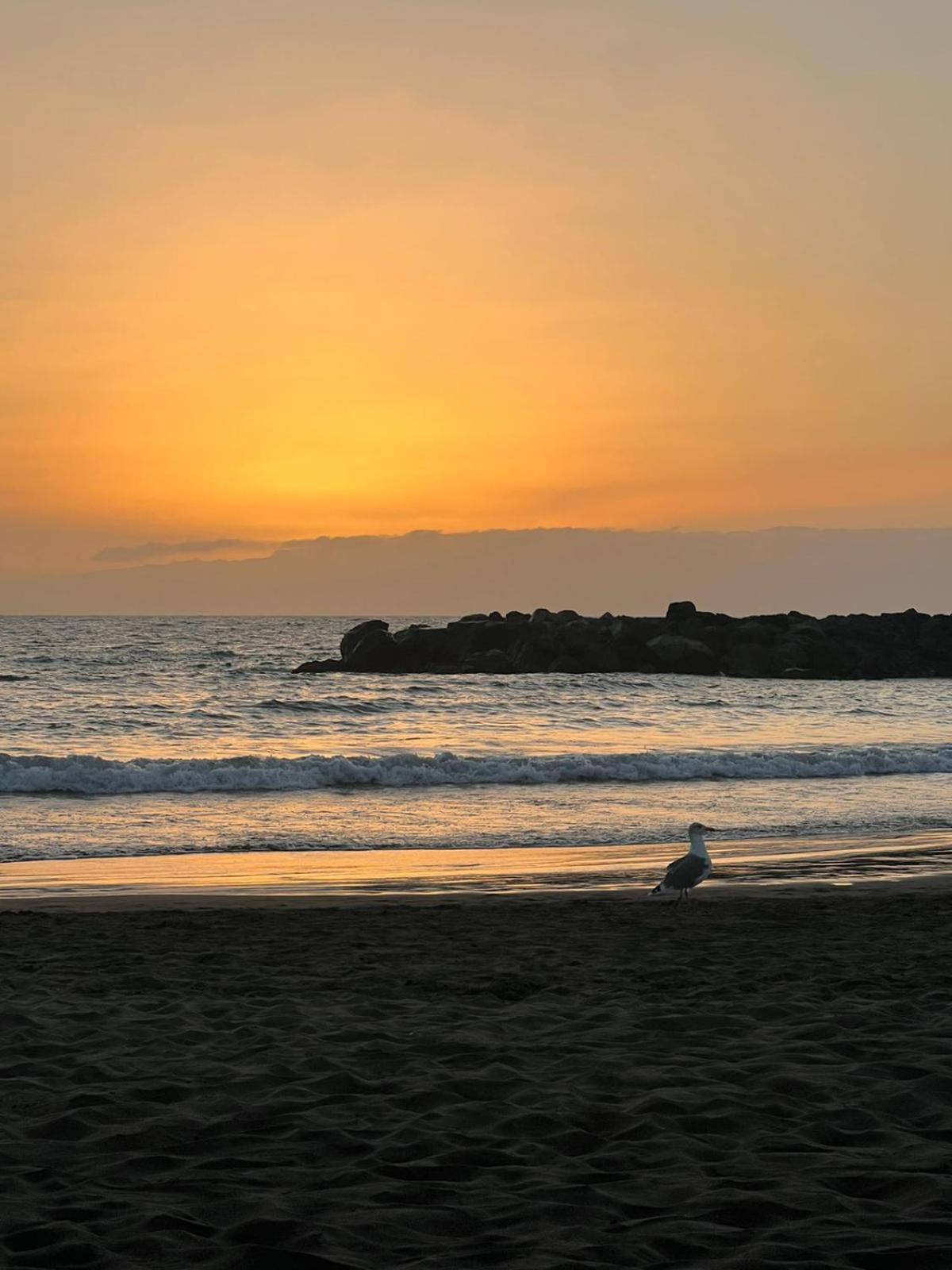 Apartamento En Primera Linea De Playa, Centrico, Tranquilo Playa de las Américas Eksteriør billede